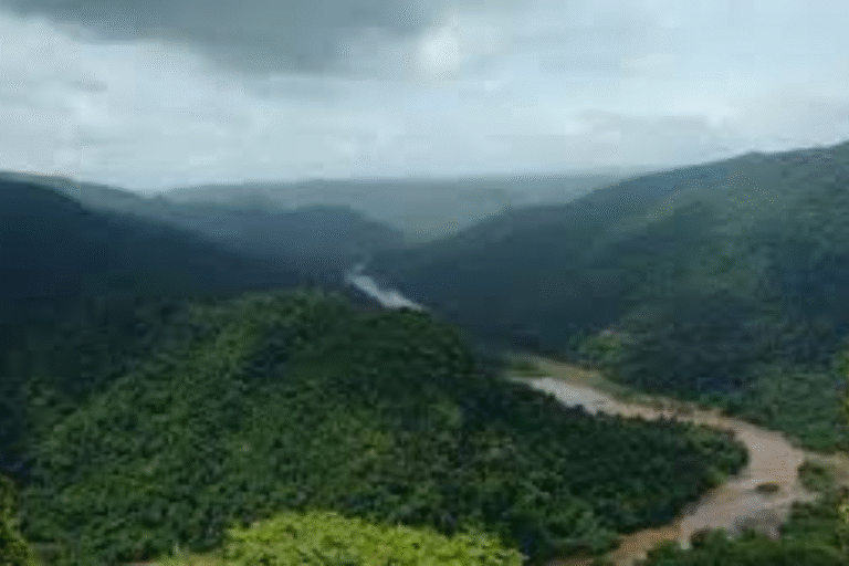 Explore the Beauty of Dandeli: Your Ultimate Travel Guide