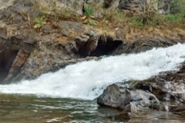 Top 10 Must-Visit Sightseeing Spots in Dandeli for 2025
